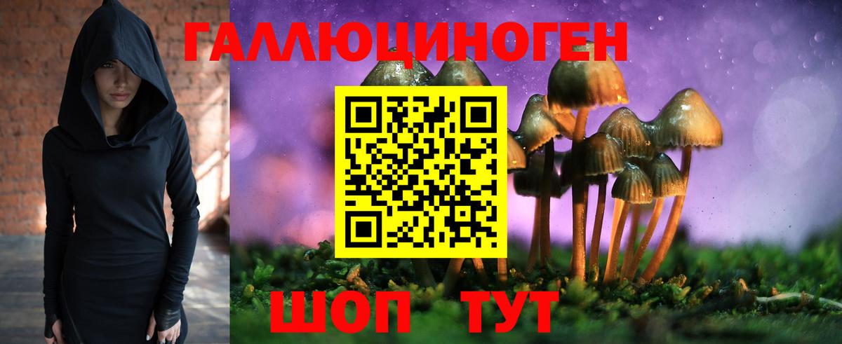 Псилоцибиновые грибы прущие грибы Бутурлиновка